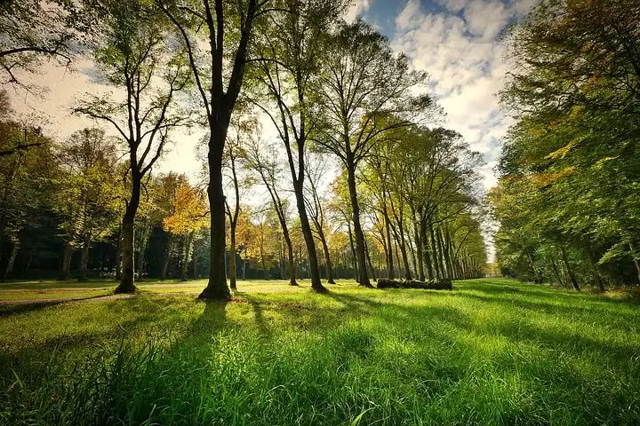 Passeggiata al Parco Formentano - Walk in Formentano Park
