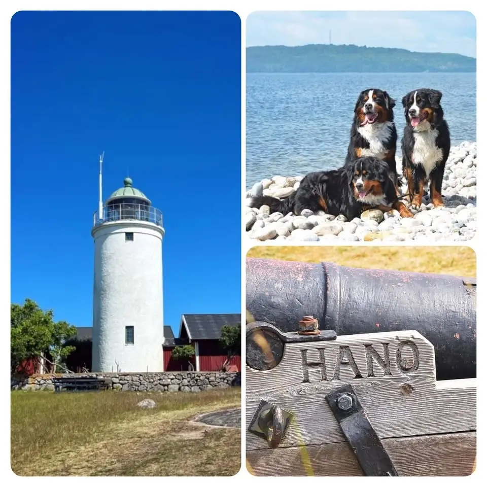 Sommarträff Hanö