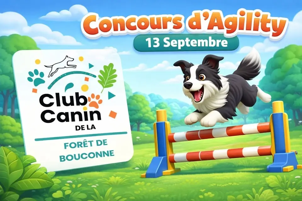 Concours AGILITY 2026 - le 1er du CCFB !