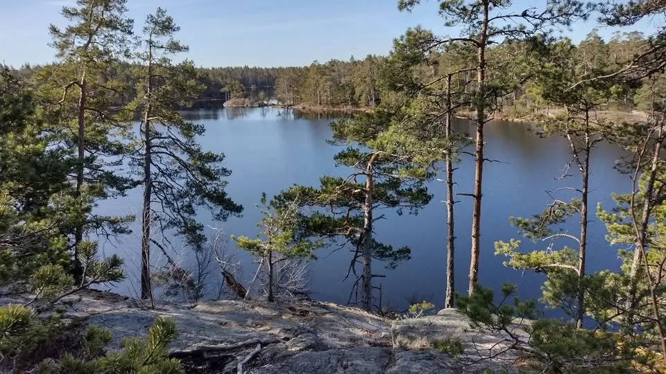 Tisdagsvandring i Farsta, Stockholm