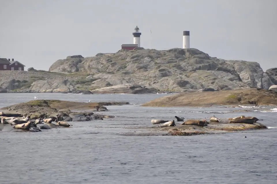 Fyrens dag Ursholmens fyrplats, Kosterhavet