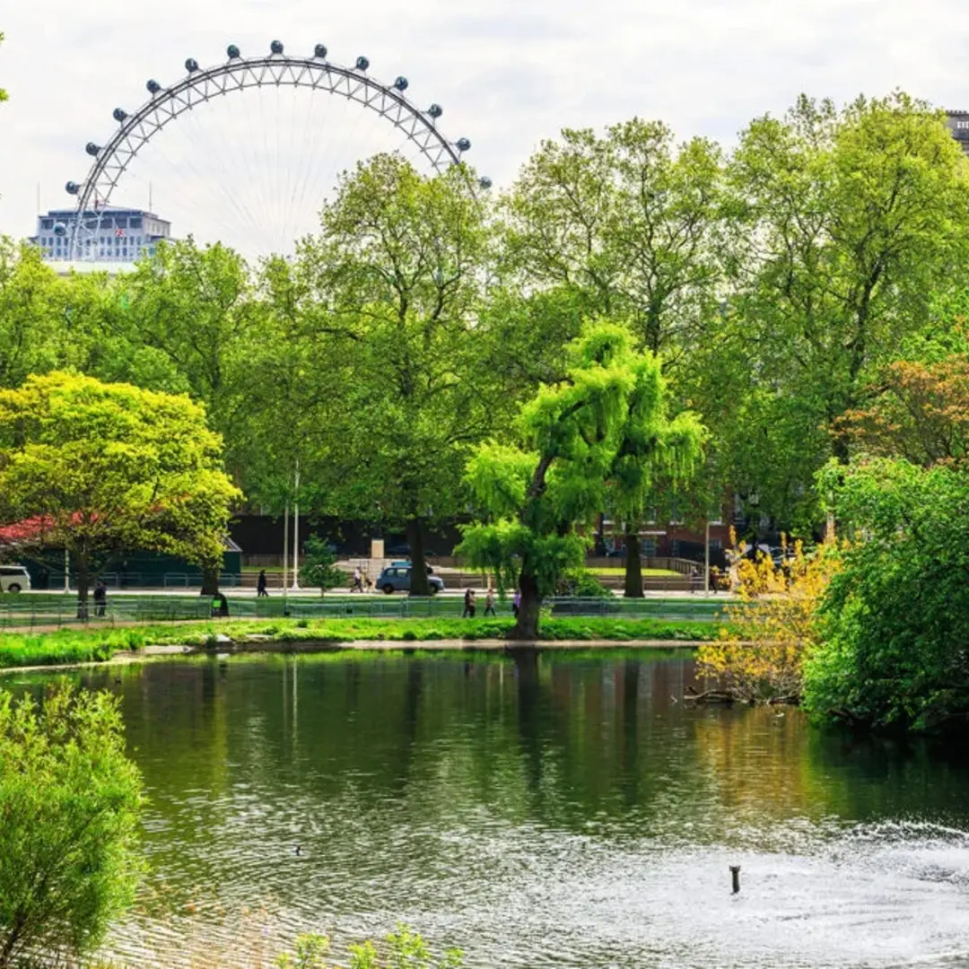 🌳Offline Women Explore the Royal Parks: St. James's Park