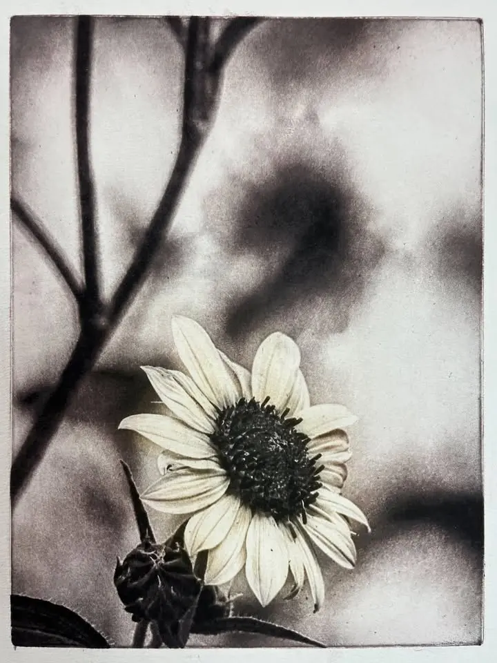 Beyond the Straight Photopolymer Print