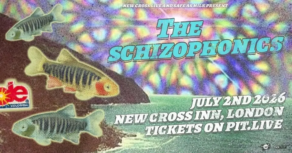 The Schizophonics