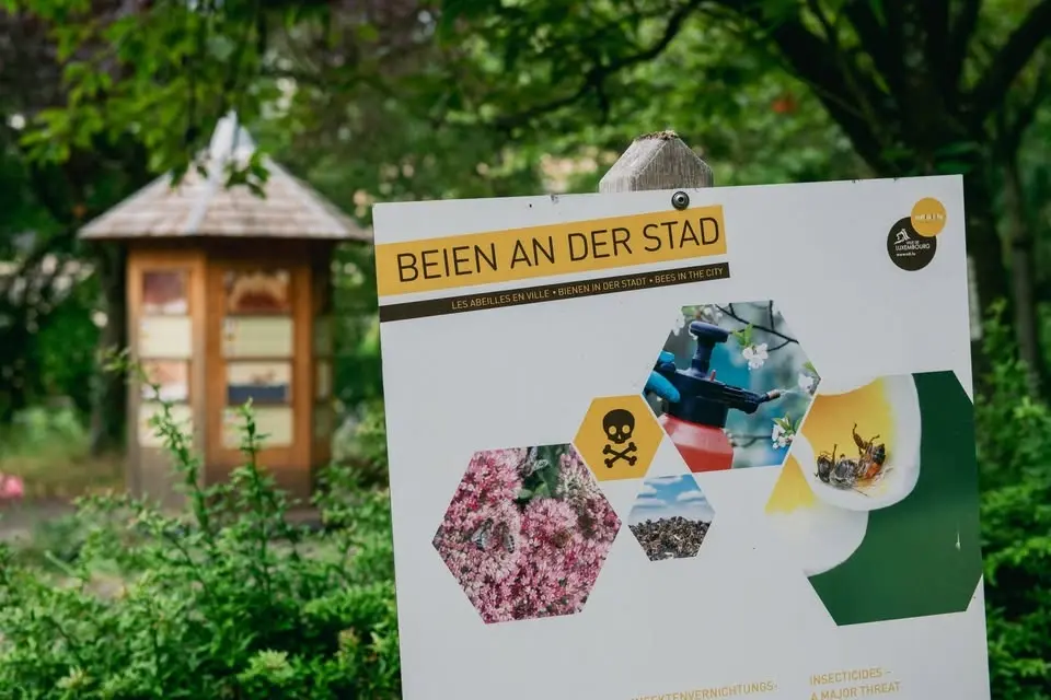 Beien an der Stad 🐝