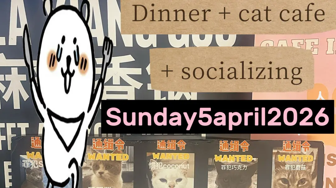 Cat cafe with dinner buffet speed dating night 🌟first event at pet cafe