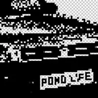 Pond Life's 11th Birthday | Bristol