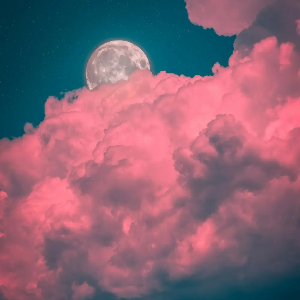 Flower Full Moon Walk