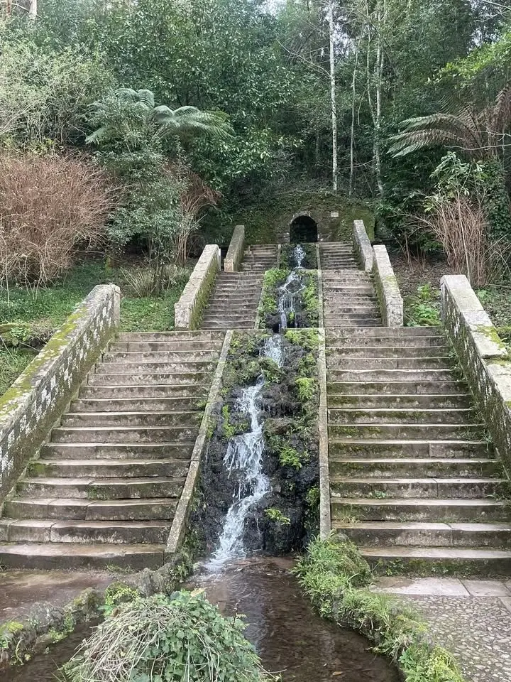 Trilho da Água - Mata do Buçaco