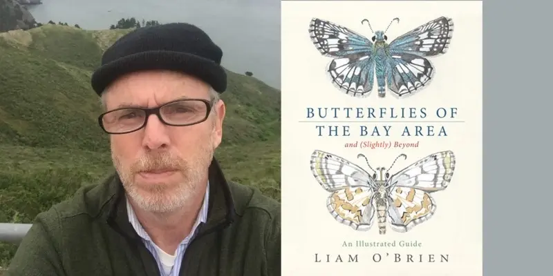 Author Talk – Liam O’Brien: Butterflies of the Bay Area (and Slightly Beyond)