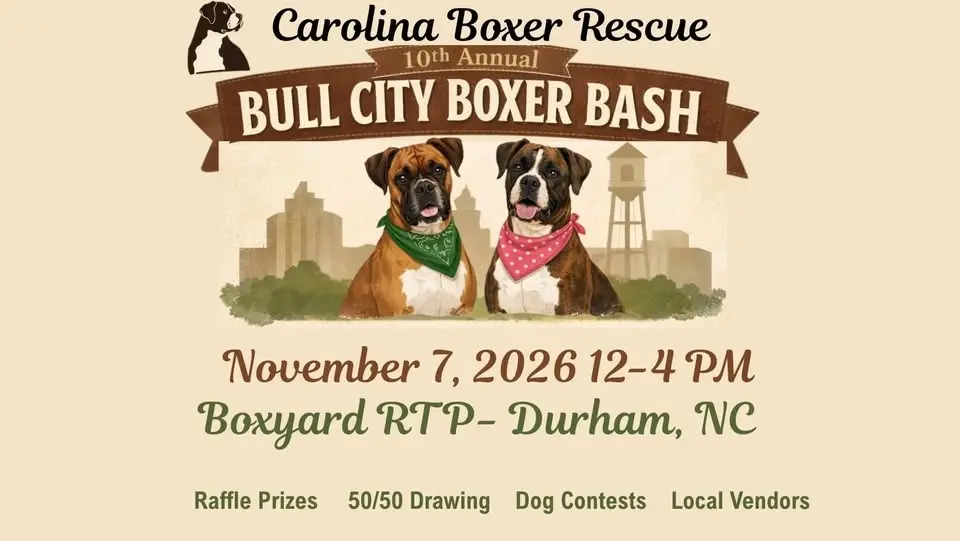 The 10th Annual Boxer Bash!