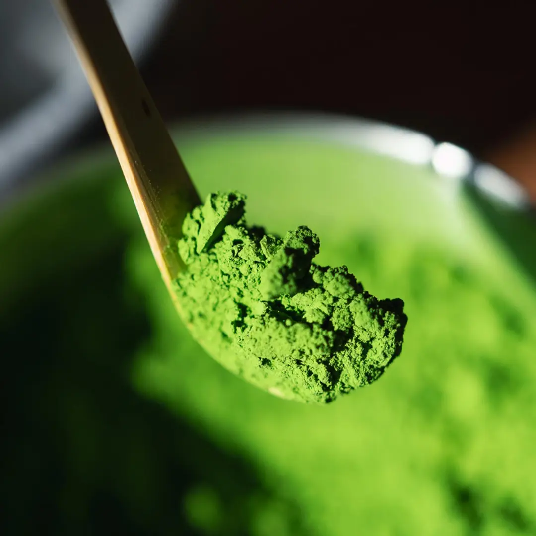 Learn about Matcha and have a taste- by AMIKA MATCHA