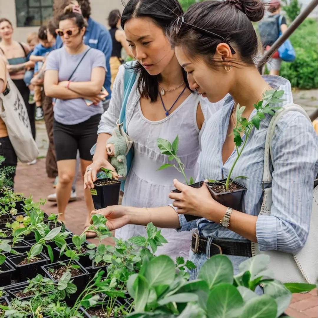 Field Notes: Farm Coworking + Yoga