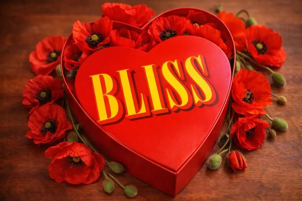 Bliss a Nirvana Tribute Live @ O Shaunesseys