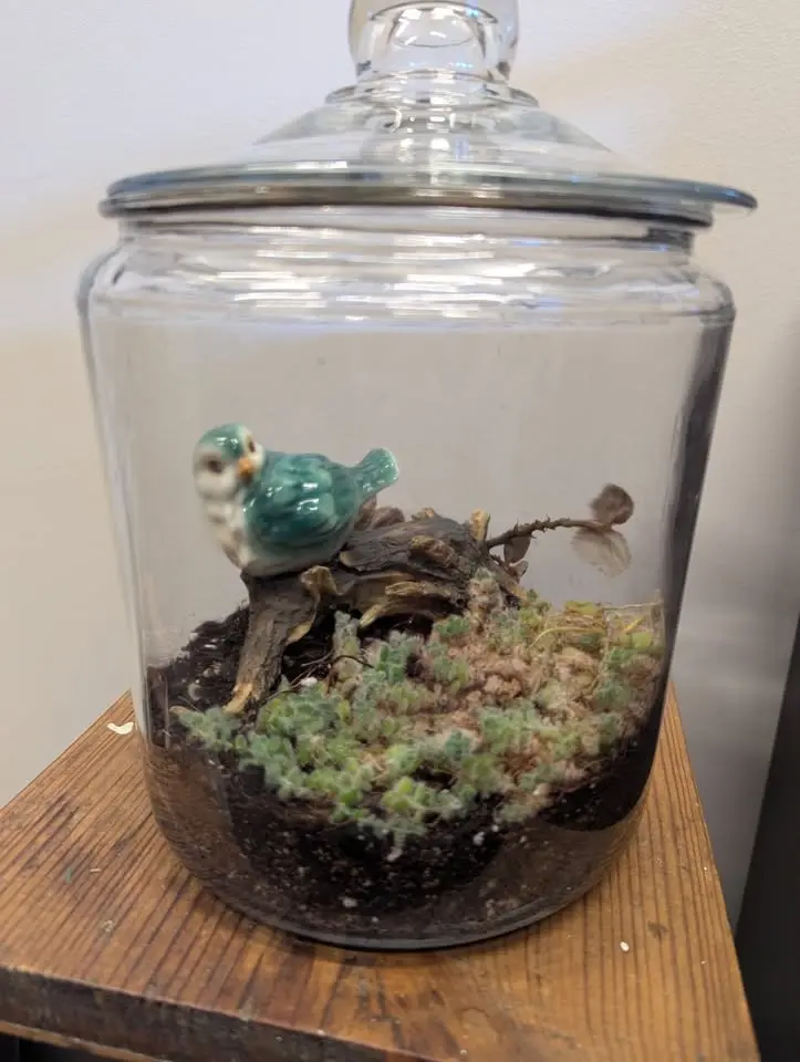 Found Objects Terrarium Make and Take