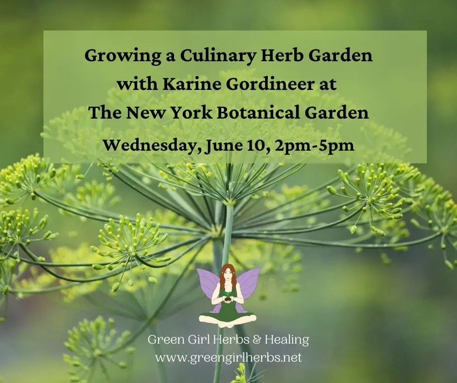 Growing a Culinary Herb Garden