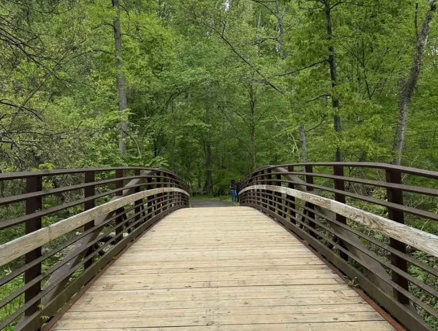 Creative Field Trip 6: Leakin Park