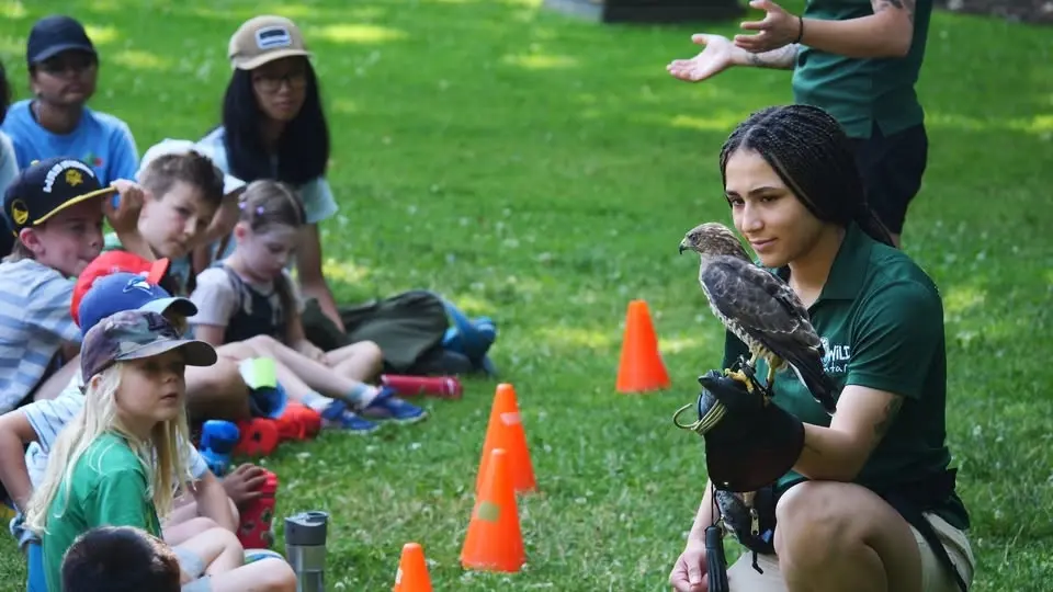 Brilliant Birds Week | Summer Nature Day Camp
