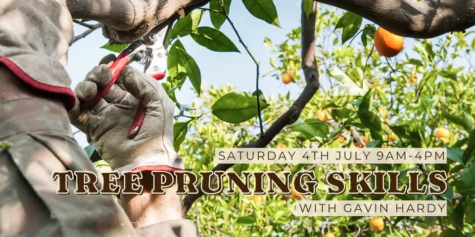 Tree Pruning Skills with Gavin Hardy