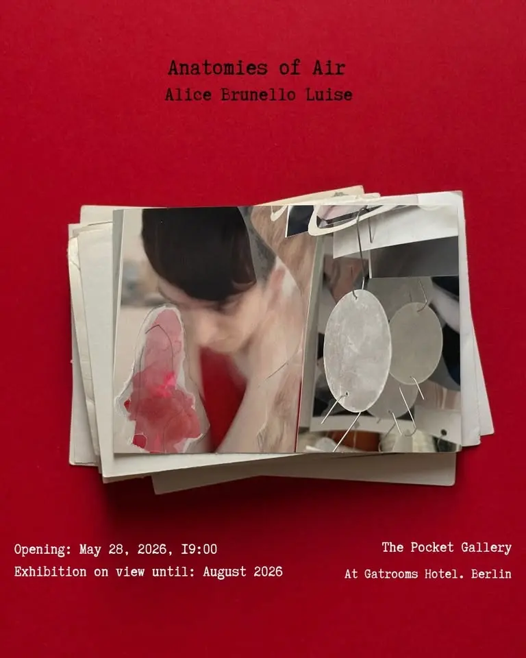 Anatomies of Air β Alice Brunello Luise at The Pocket Gallery