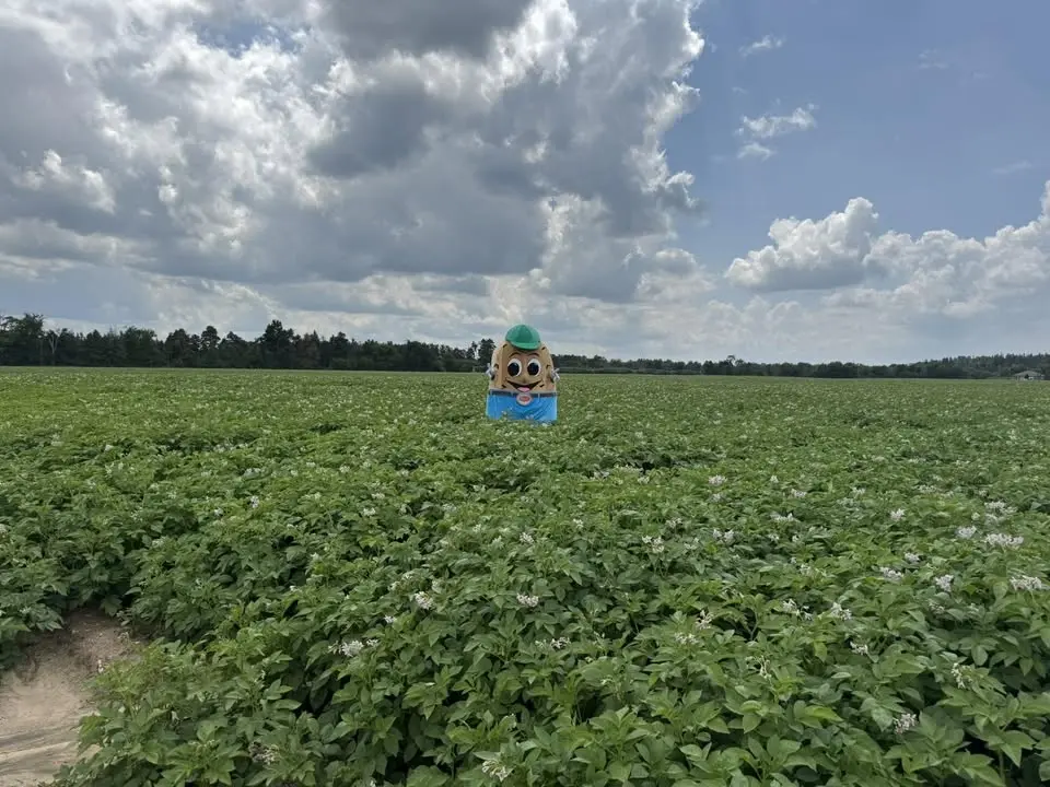 Alliston Potato Festival 2026