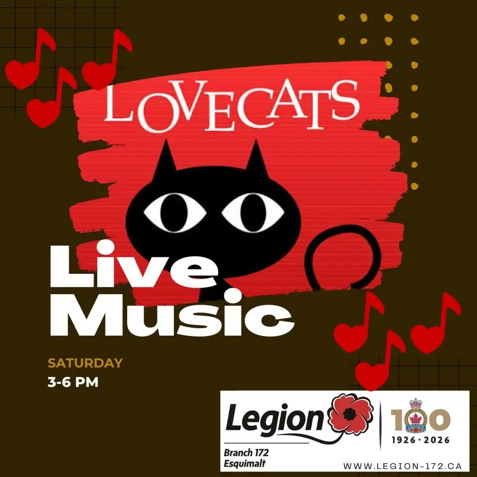 🎶🐾 Live Music with LOVECATS! 🐾🎶