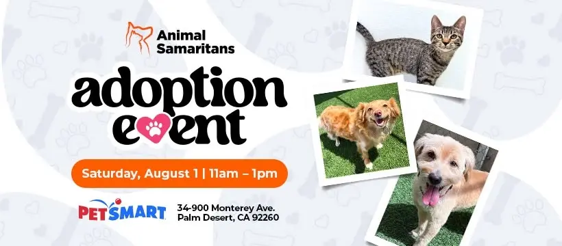 Adoption Event