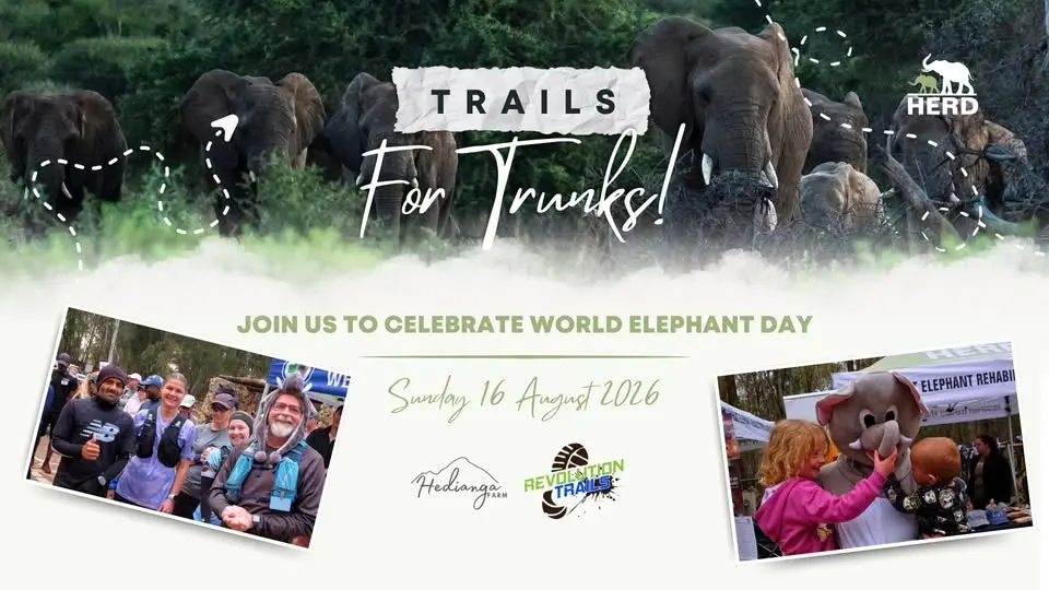 Trails for Trunks 2026 | HERD's World Elephant Day Fun Run