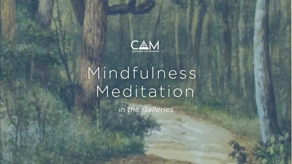 Mindfulness Meditation in the Galleries