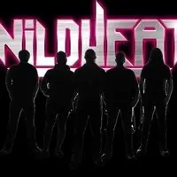 Wild Heat + Divides Unfold + High Ryder. Voodoo Belfast, 22/08