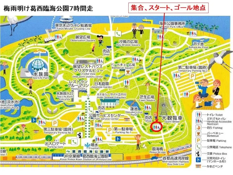 第23回エコ・ジャーニー4時間 & 24時間走(秋) 葛西臨海公園