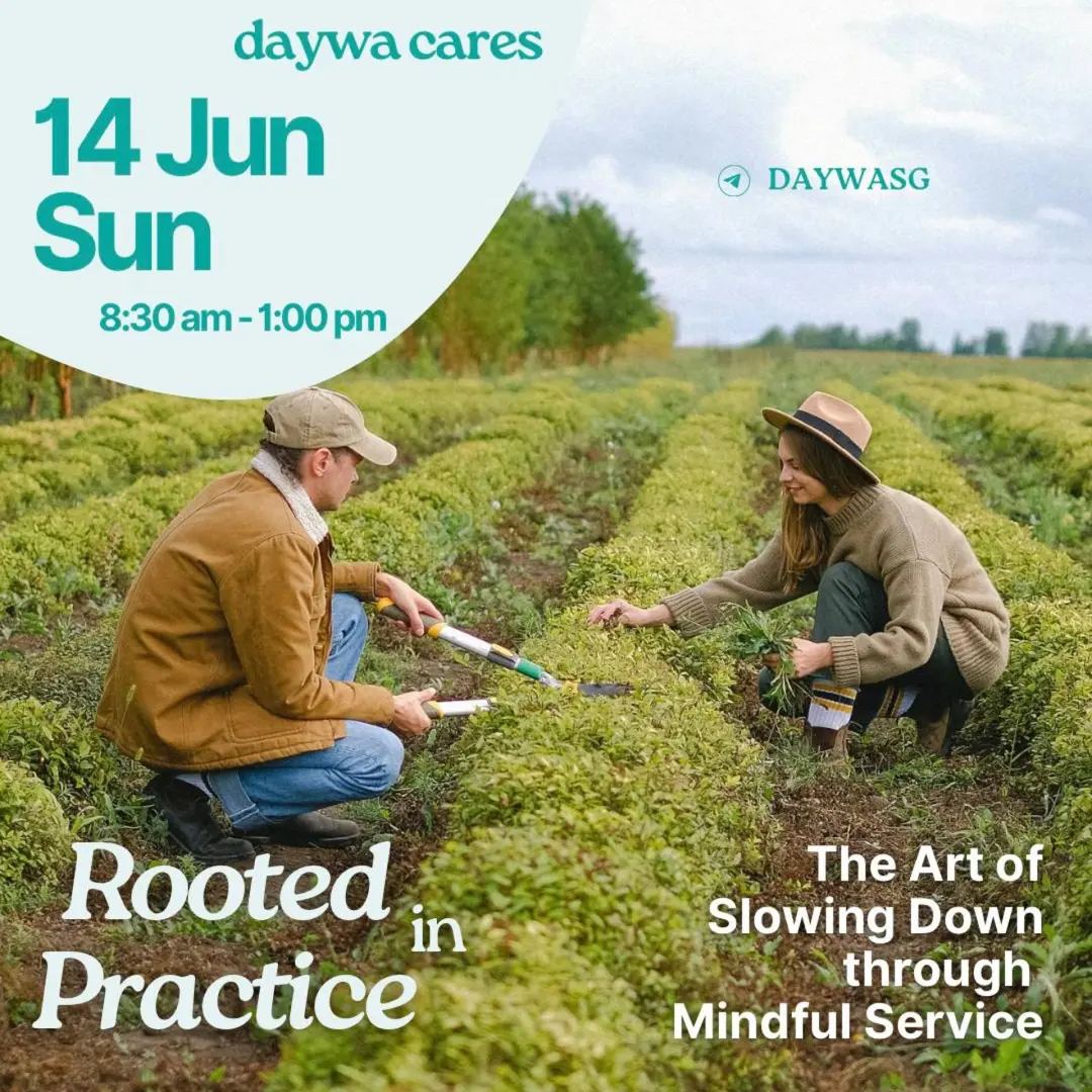 DAYWA Cares June 2026 - Rooted in Practice