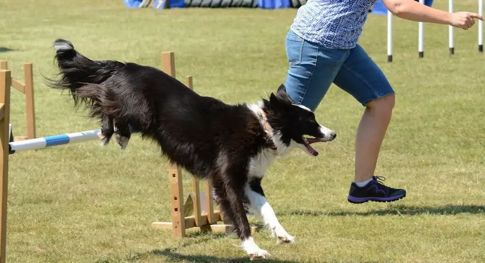 Agility - steg 3