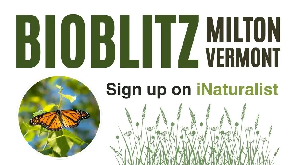 BioBlitz: Milton Vermont