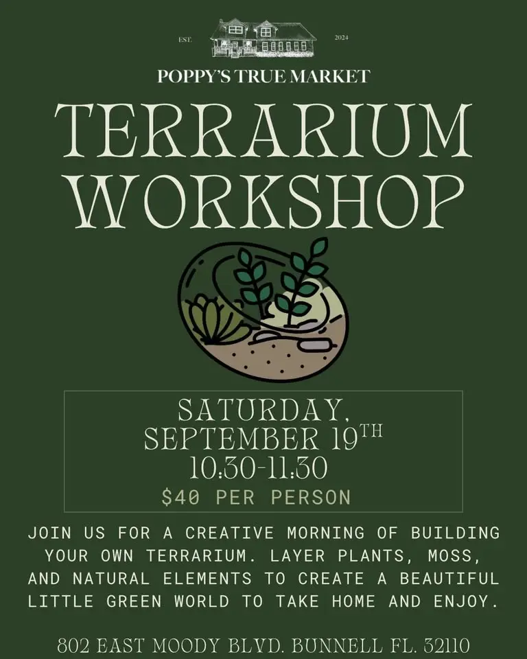 Terrariums 