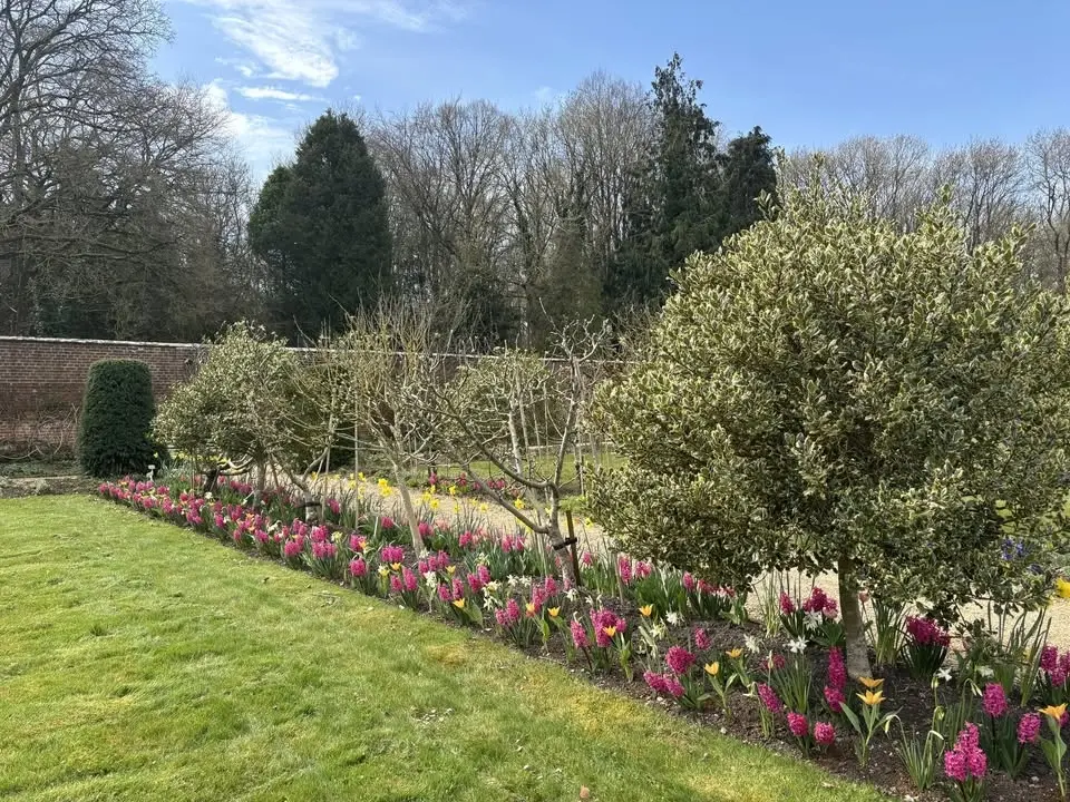 National Garden Scheme: Lydiard Park Walled Garden