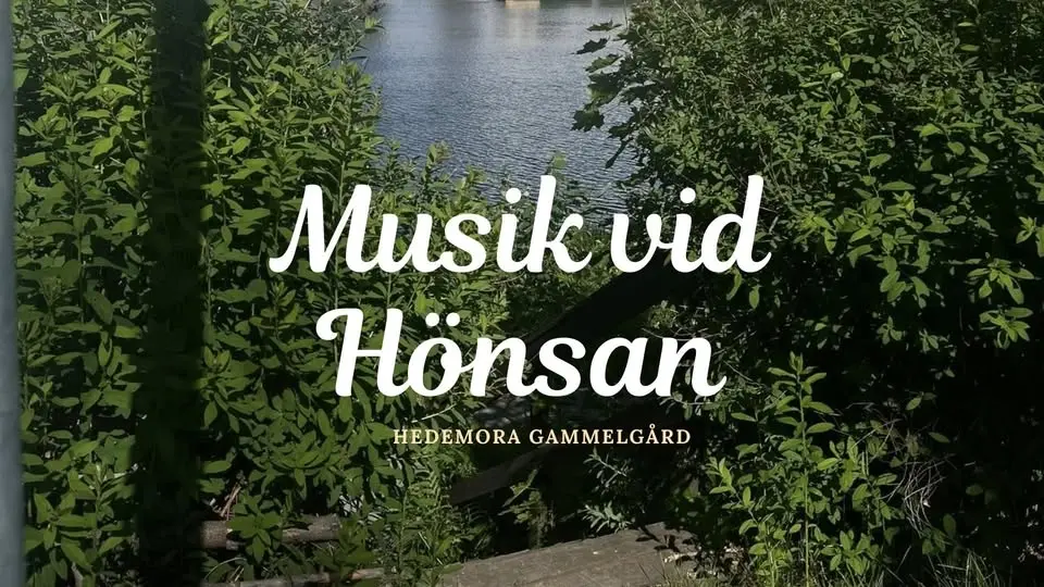 Musik vid Hönsan med lokala artister