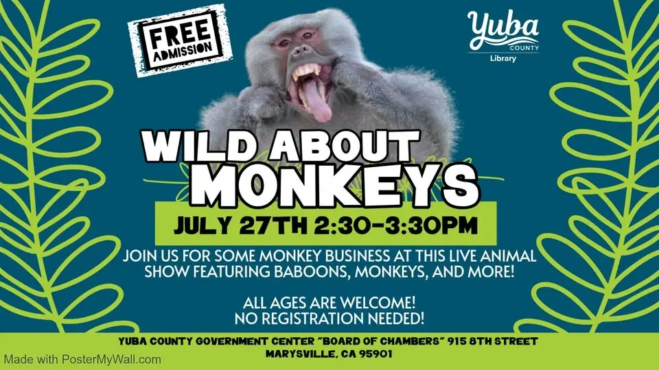 Wild About Monkeys