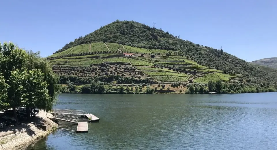 WALK - LIFE AT THE WINE ESTATE, Just 1h30 from Porto