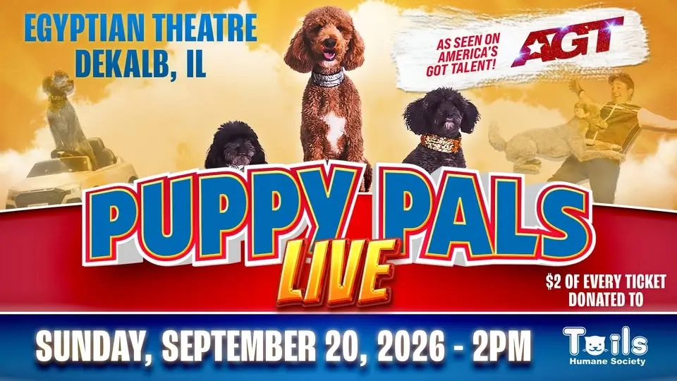 Puppy Pals Live