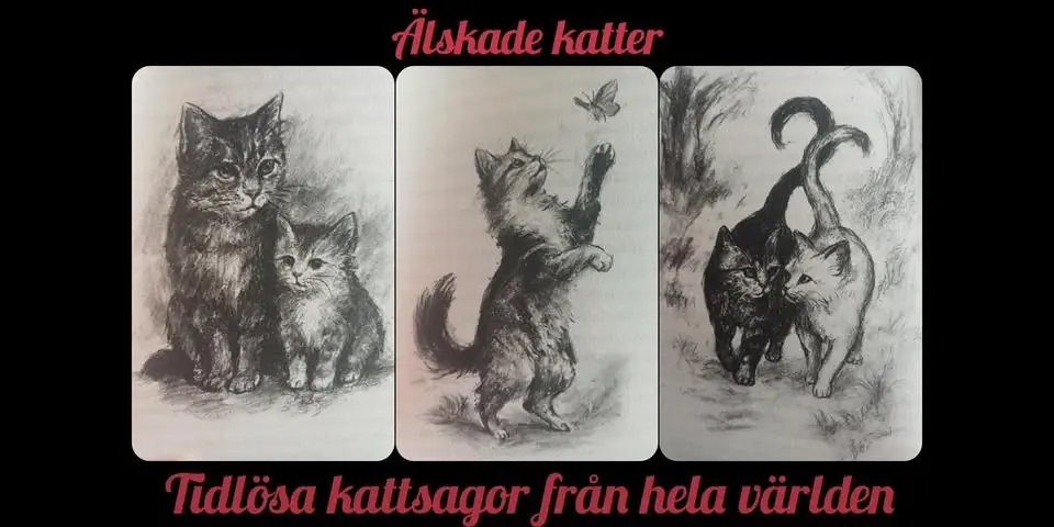Älskade katter! Kattsagor från hela världen 