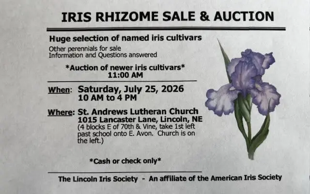 Iris Rhizome Sale & Auction 