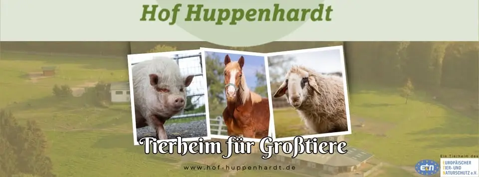Sommerfest