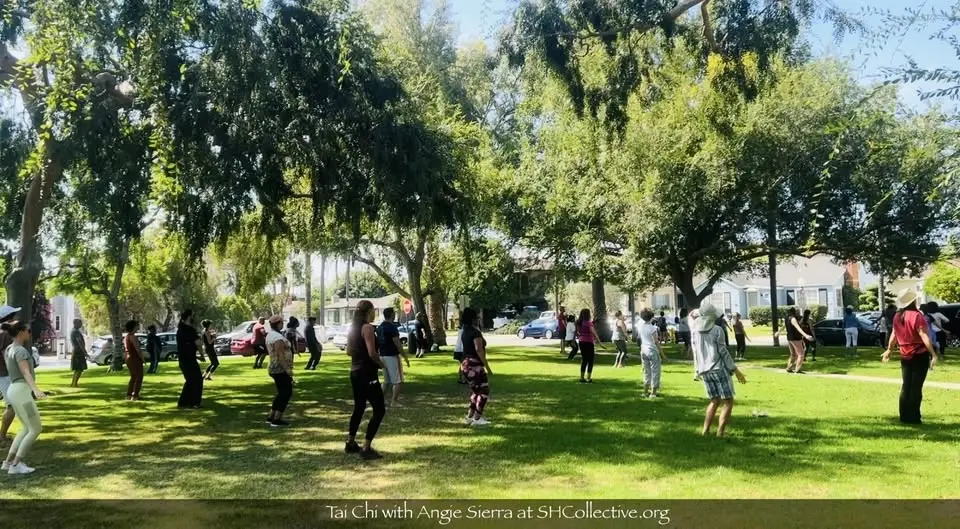 Culver City Tai Chi for Beginners (by SHCollective)