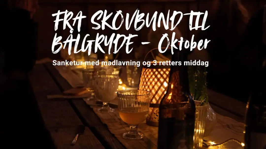 Sanketur & 3-retters menu over bål i Gribskov