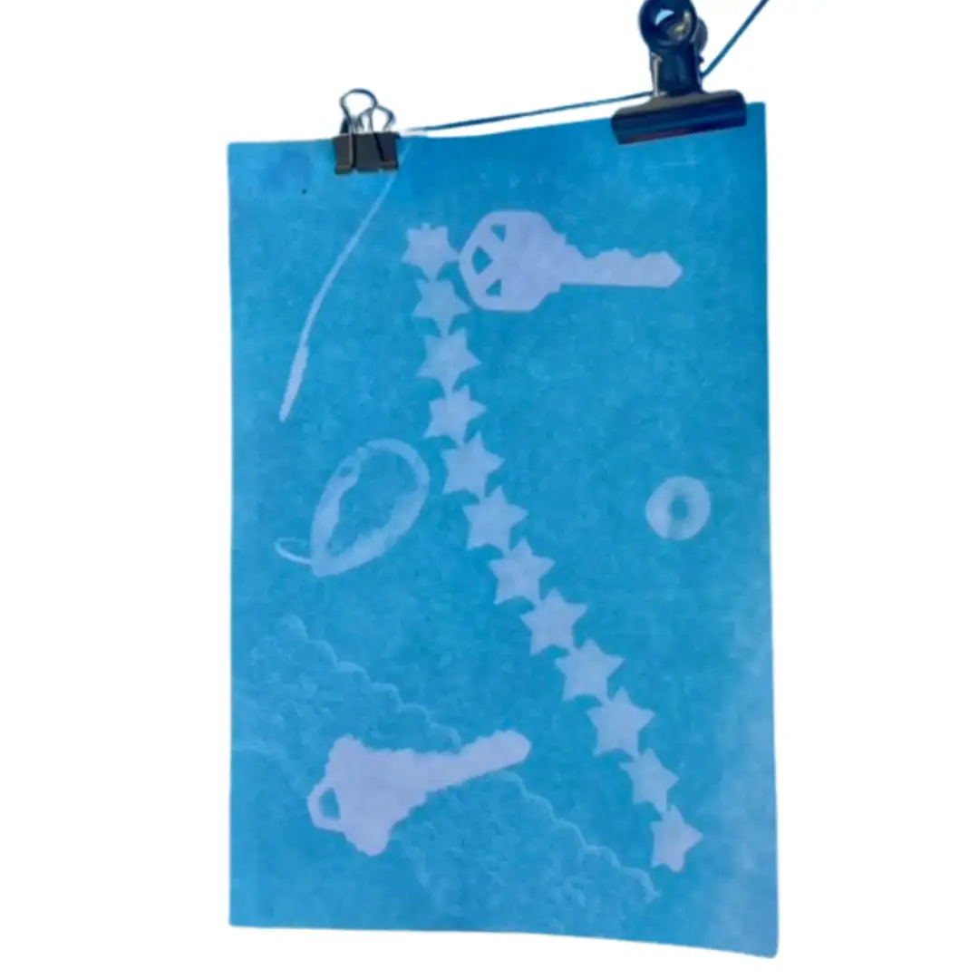 Cyanotype Sun Prints