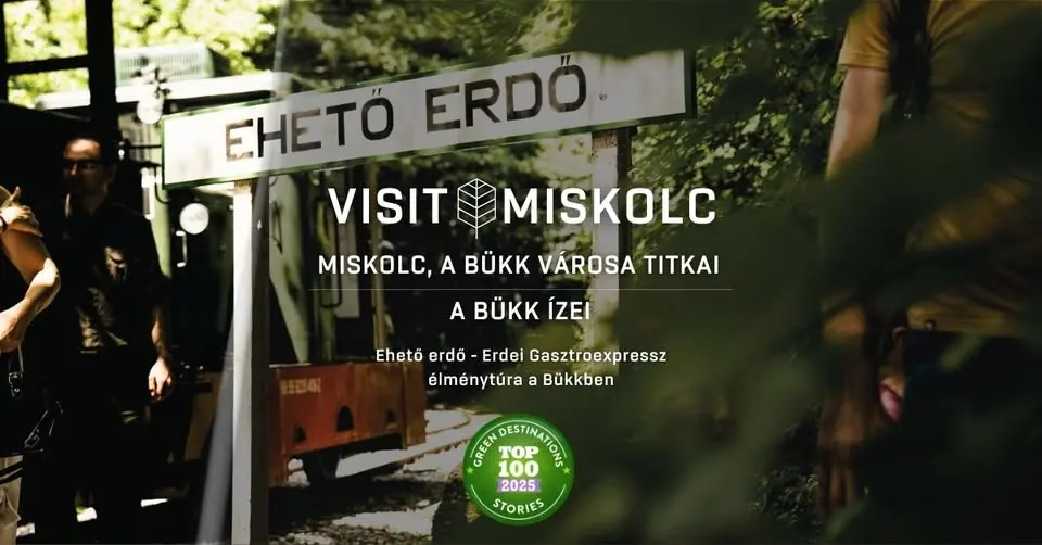 TELTHÁZ! A Bükk ízei - Ehető erdő Erdei Gasztroexpressz