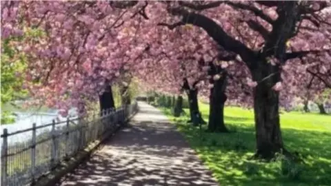 Central Park Social Walk (50s & Over)