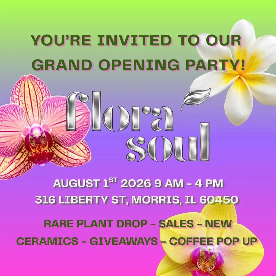 Flora Soul Grand Opening Party 