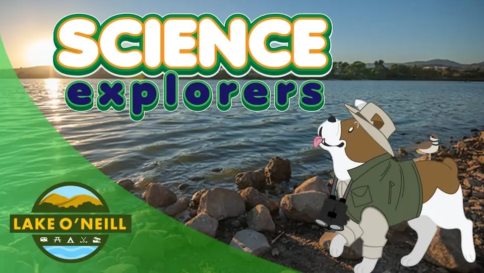 🦆 Science Explorers - Waterfowl